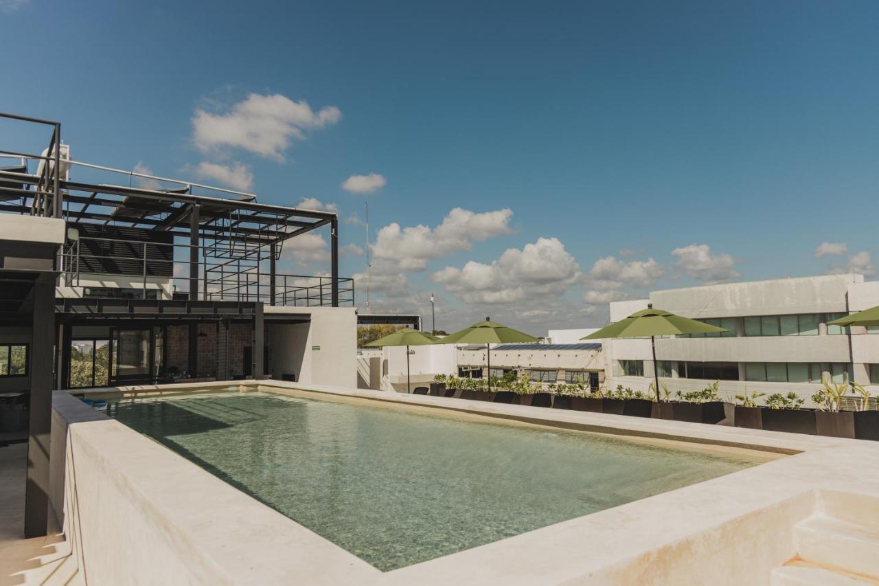 Caleta Hostel Rooftop & Pool カンクン エクステリア 写真