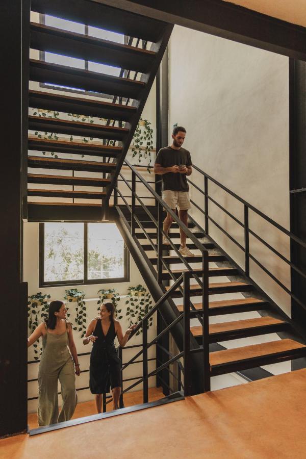 Caleta Hostel Rooftop & Pool カンクン エクステリア 写真